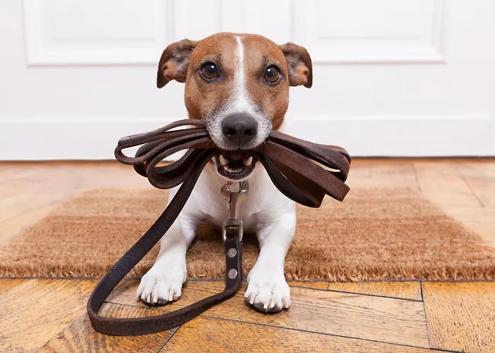 Apartmán Arosa By Schladming-appartements Schladming